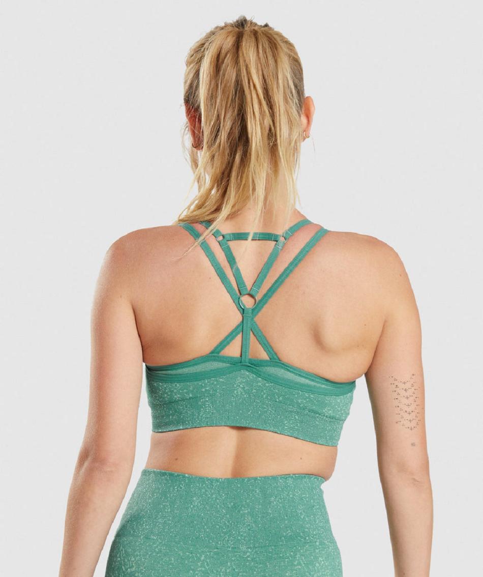 Sujetadores Deportivos Gymshark Adapt Fleck Seamless Mujer Verde | CO 2183NWY